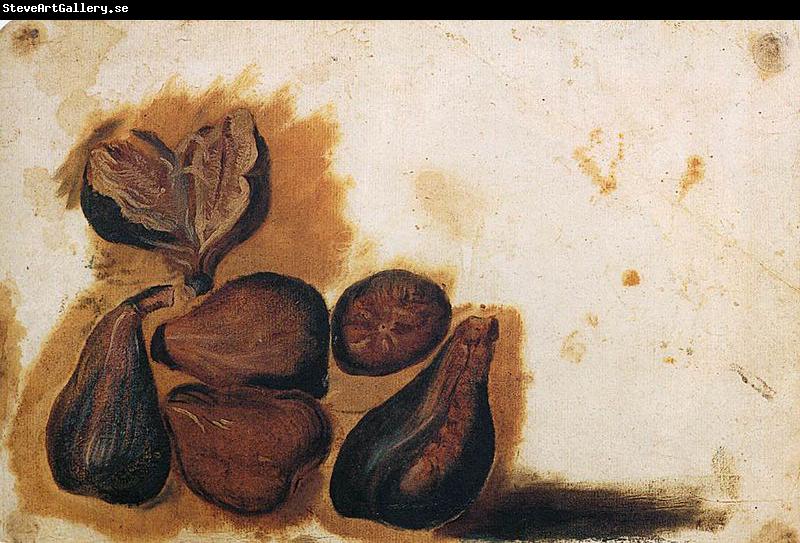 Simone Peterzano Still-Life of Figs